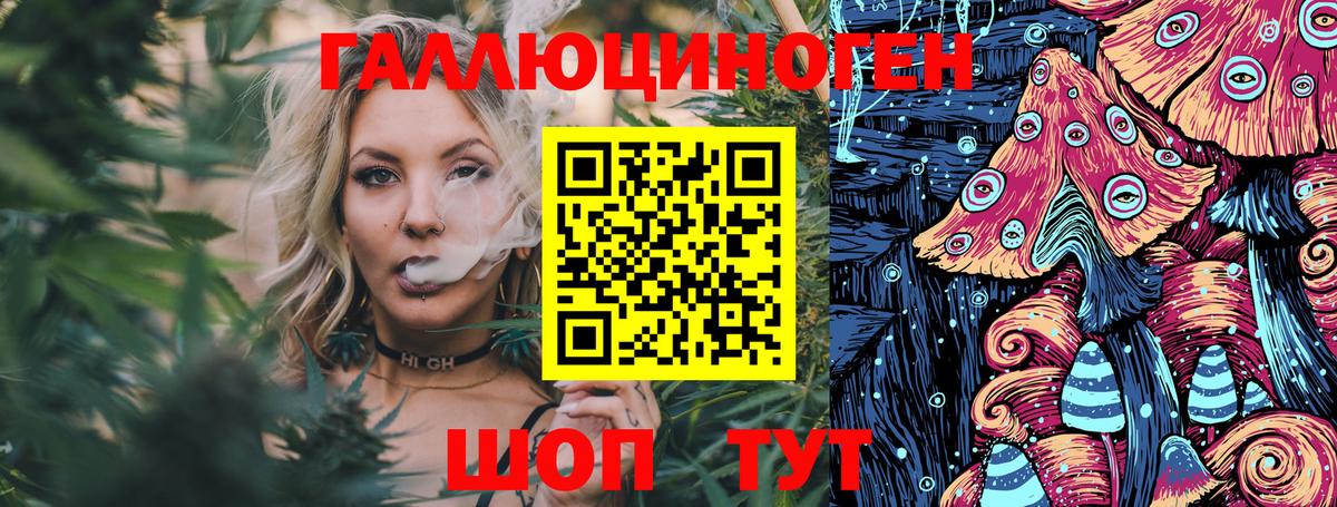 Искитим  Галлюциногенные грибы Psilocybe  Вход с VPN 